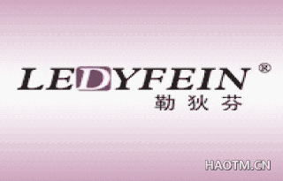 勒狄芬 LEDYFEIN