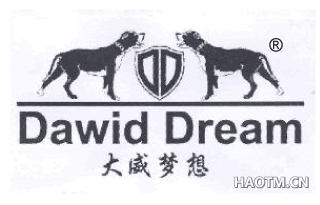 大威梦想 DAWID DREAM