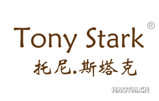 托尼.斯塔克 TONY STARK