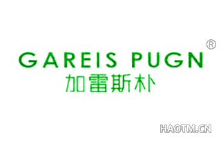 加雷斯朴 GAREIS PUGN