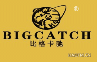 比格卡驰 BIGCATCH