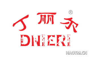 丁丽尔 DNIERI