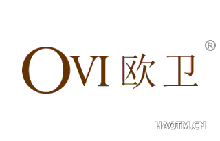 欧卫 OVI