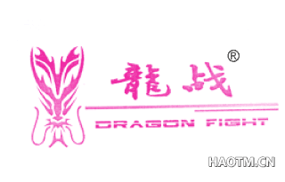 龙战 DRAGONFIGHT