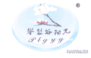 攀裂谷阳光 PLGYG