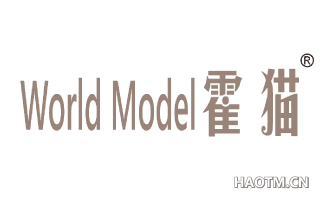 霍猫 WORLD MODEL