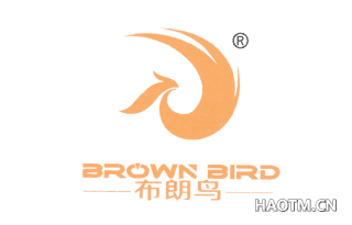 布朗鸟 BROWN BIRD