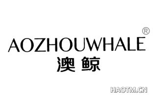 澳鲸 AOZHOUWHALE