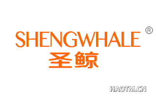 圣鲸 SHENGWHALE