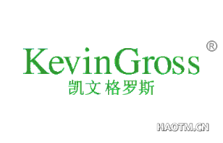 凯文格罗斯 KEVINGROSS