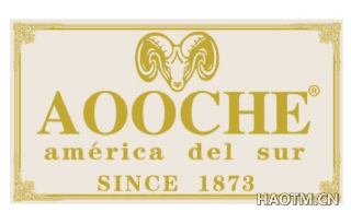 AOOCHE