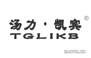 汤力·凯宾 TGLIKB