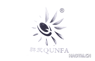 群发  Q