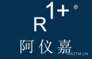 阿仪嘉 R