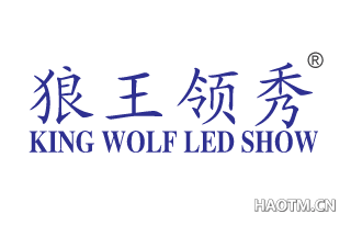 狼王领秀  KING WOLF LED SHOW