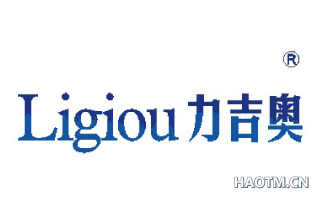 力吉奥 LIGIOU