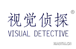 视觉侦探 VISUALDETECTIVE