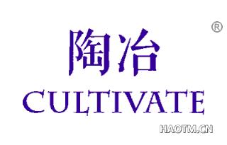 陶冶 CULTIVATE