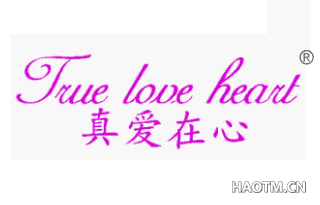 真爱在心 TRUELOVEHEART