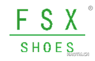 FSX SHOES