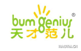 天才范儿 BUM GENIUS