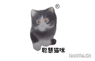 聪慧猫咪