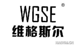 维格斯尔 WGSE