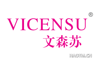 文森苏 VICENSU