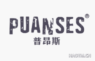 普昂斯 PUANSES