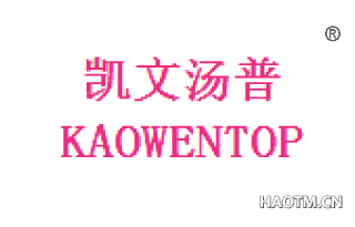 凯文汤普 KAIWENTOP