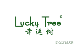 幸运树  LUCKY TREE