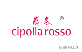 感冬 CIPOLLA ROSSO