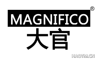 大官 MAGNIFICO