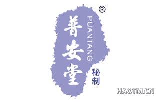 普安堂秘制 PUANTANG