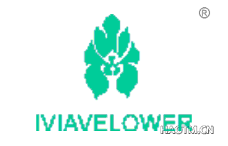  IVIAVELOWER