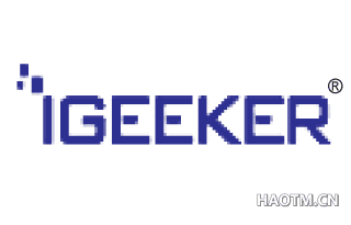 IGEEKER