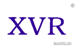  XVR