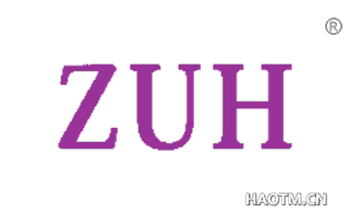  ZUH