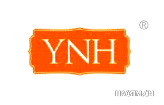  YNH