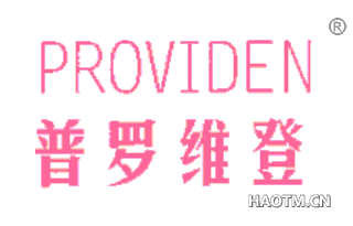 普罗维登 PROVIDEN