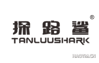 探路鲨 TANLUUSHARK