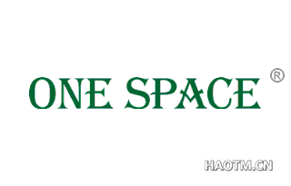 ONE SPACE