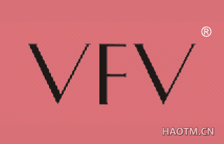  VFV
