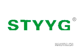  STYYG