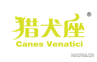 猎户座 CANES VENATICI