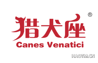 猎犬座 CANES VENATICI