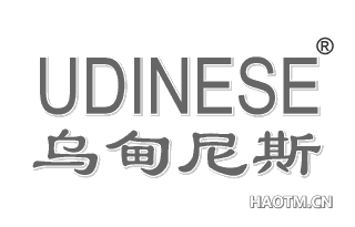 乌甸尼斯;UDINESE