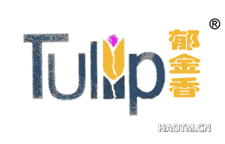 郁金香;TULIP