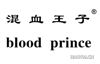 混血王子;BLOOD PRINCE