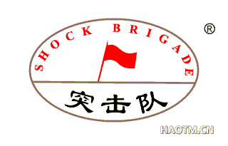 突击队;SHOCK BRIGADE